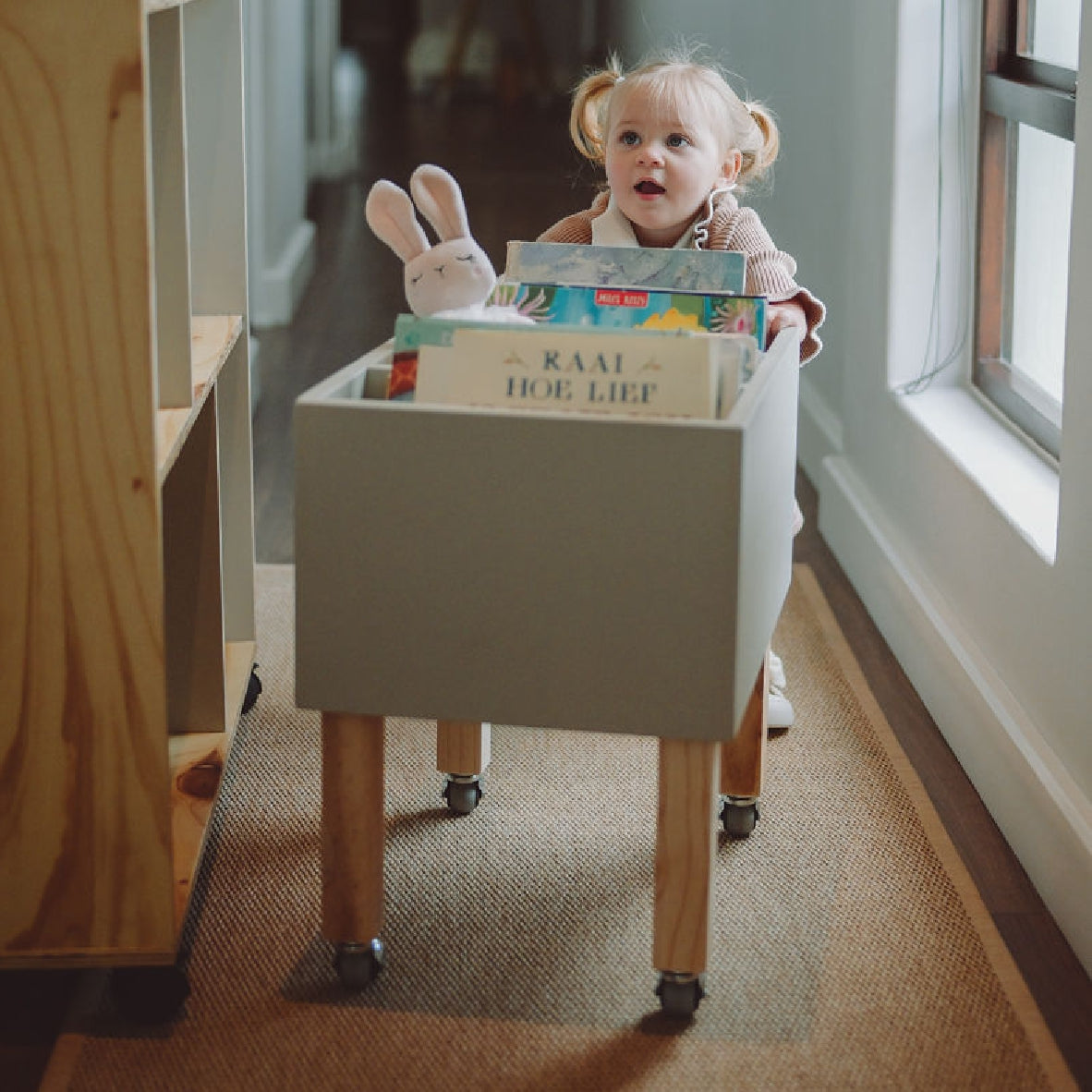 Book Trolley
