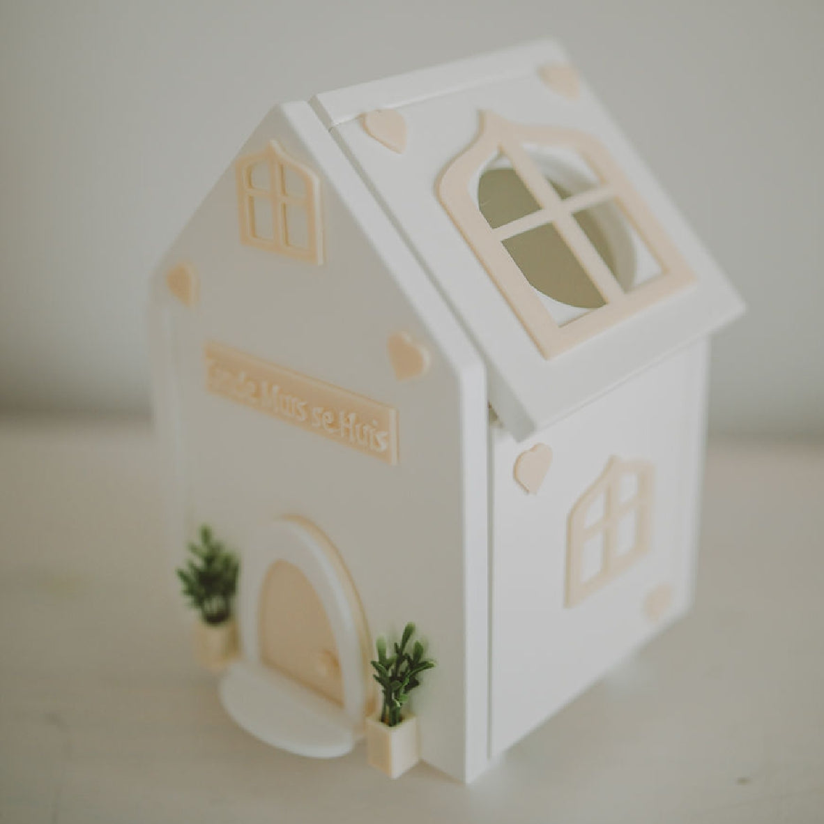 Tooth Mouse House