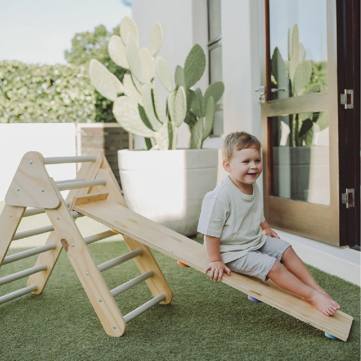 Reversible Slide / Ladder