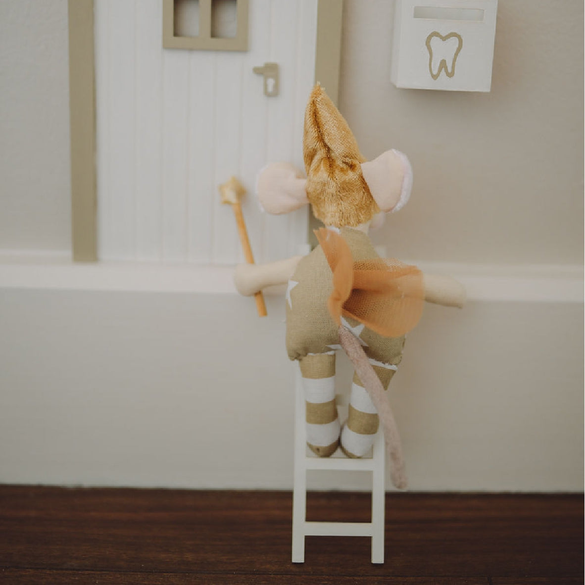 Tooth Mouse - Tooth Fairy Kit
