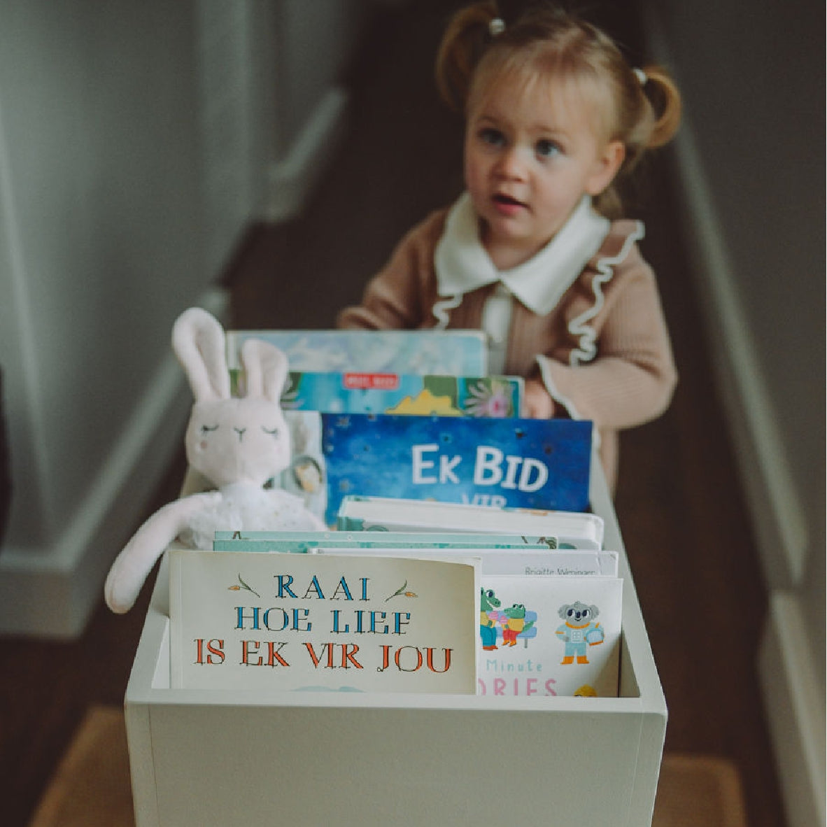 Book Trolley