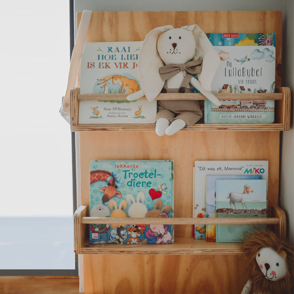 Bookshelf Set of 3 - Wall-Mounted