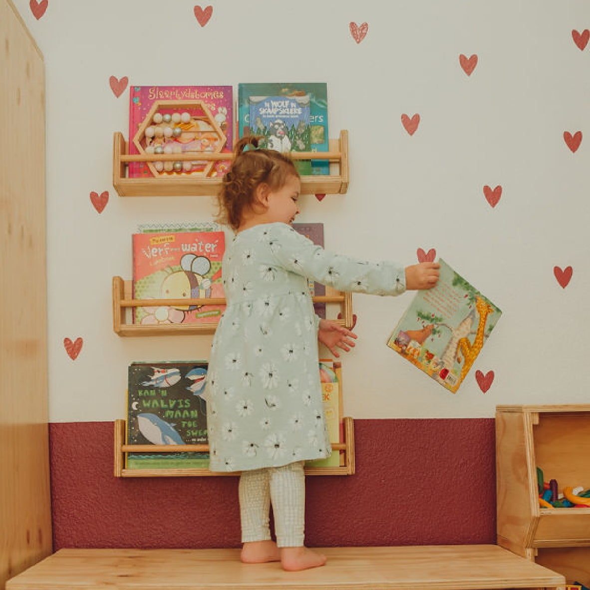 Bookshelf Set of 3 - Wall-Mounted