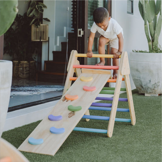 Reversible Slide / Climber