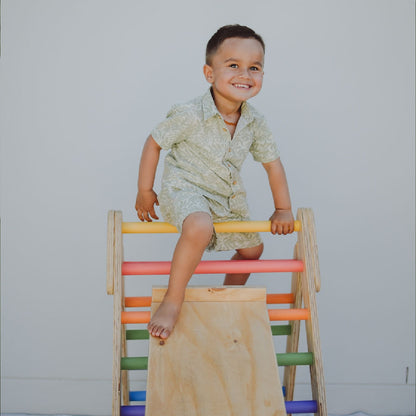 Reversible Slide / Climber