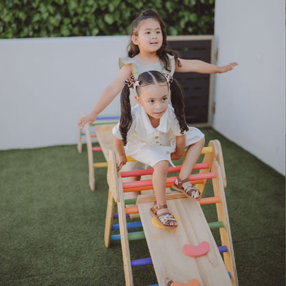 Reversible Slide / Climber