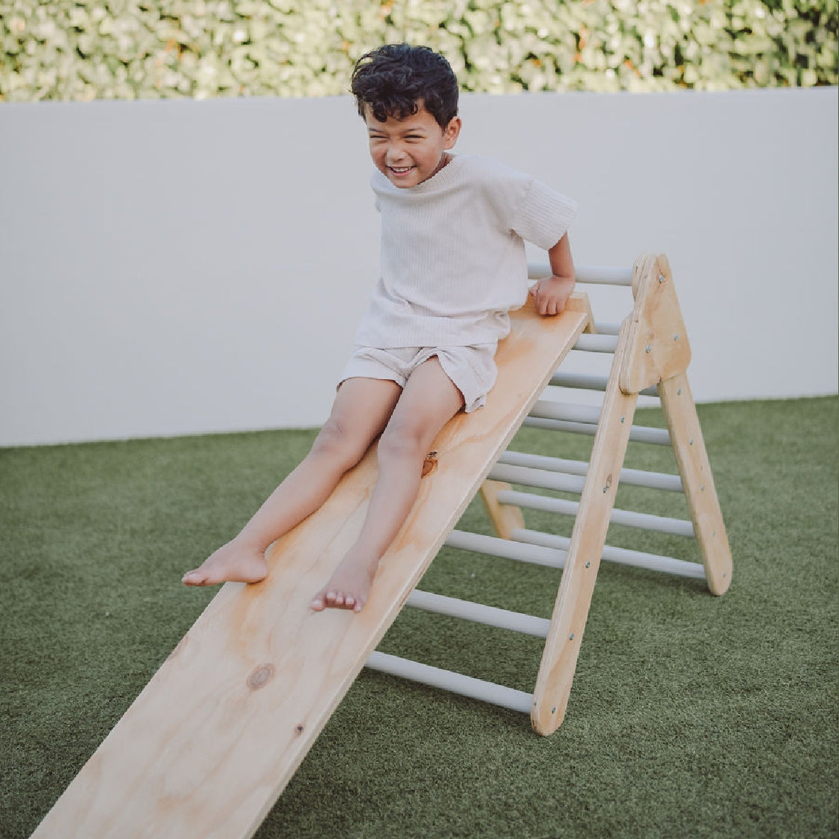Reversible Slide / Ladder