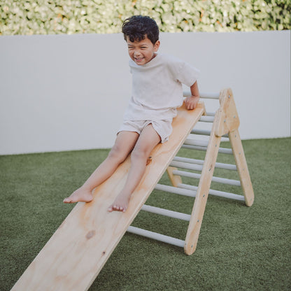 Reversible Slide / Ladder