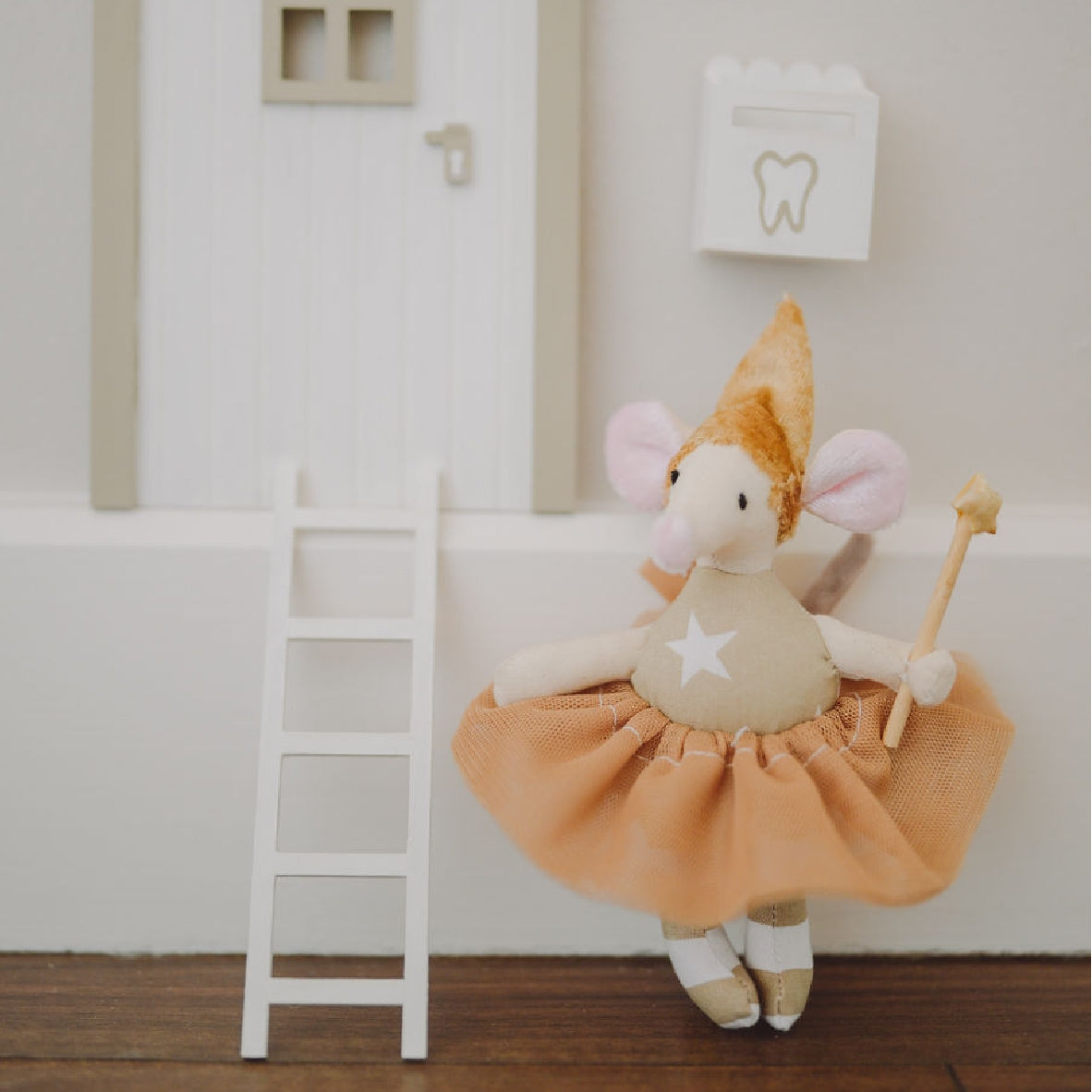 Tooth Mouse - Tooth Fairy Kit