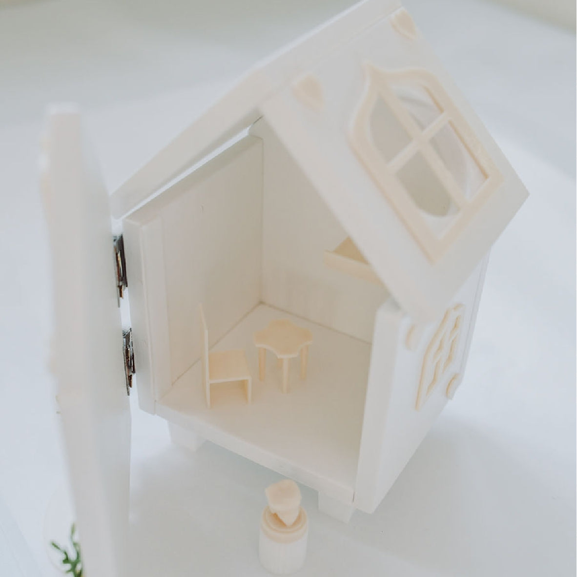 Tooth Mouse House