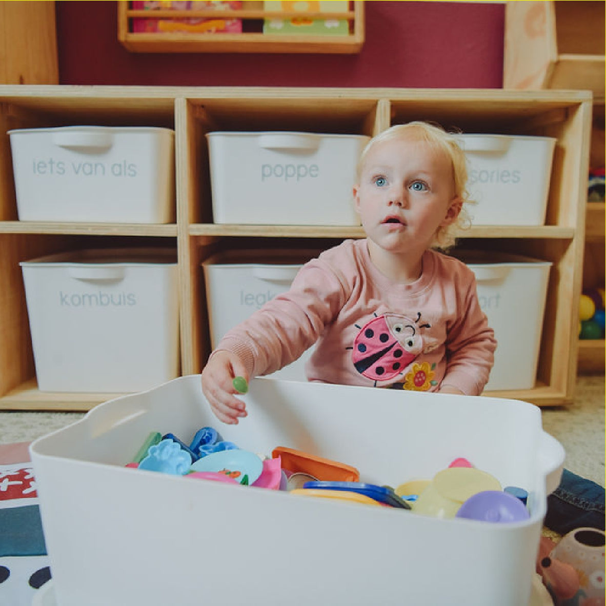 Storage / Sensory Bins for kids - Montesori