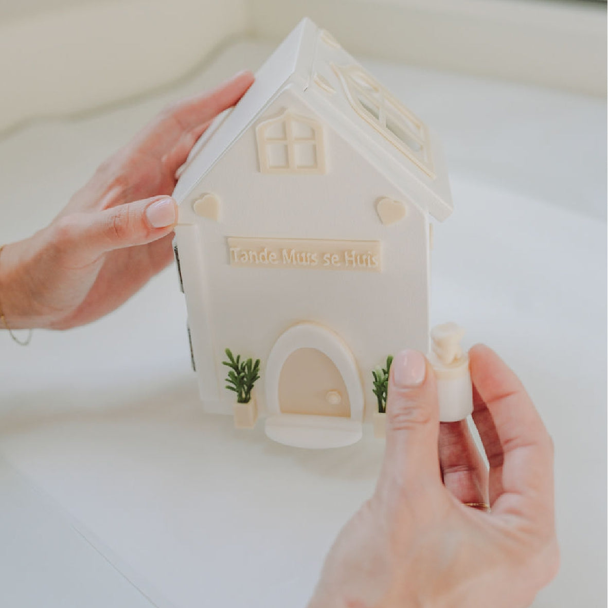 Tooth Mouse House